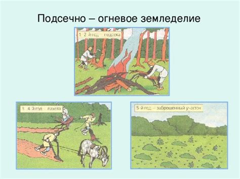 Презентация по истории "Восточные славяне в древности"