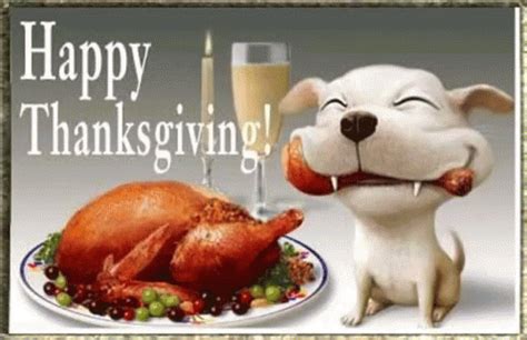 Happy Thanksgiving GIFs | GIFDB.com