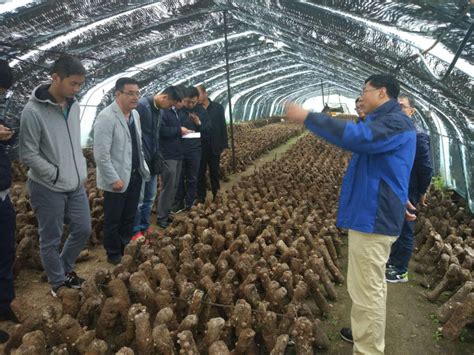 张掖市科学技术局-山丹县科技助力食用菌产业发展