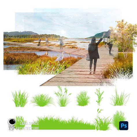 FREE Grass and Shrubs Photoshop Brushes Pack – LandSpace Architecture