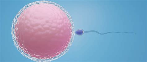 Worried About Success Rates Of IVF? | Max Hospital