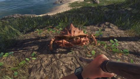 Rezultat imagine pentru Stranded Deep Switch