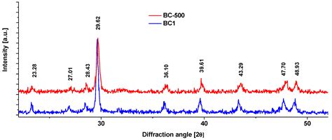A Novel Nanoporous Adsorbent for Pesticides Obtained from Biogenic ...