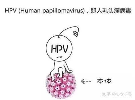 打完HPV疫苗后会有什么反应吗？ - 知乎