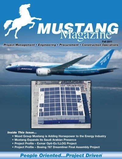 Image result for Engineering Explained Mustangs