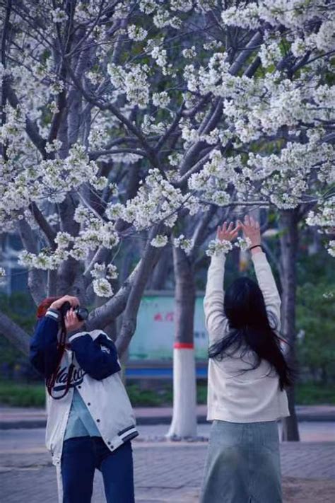 许昌学院：挖掘“樱花”中蕴藏的育人元素 打造“樱花文化节”活动品牌-大河网
