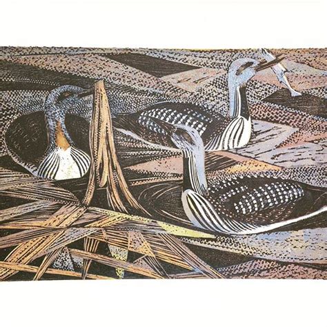 Image result for Java Osborne