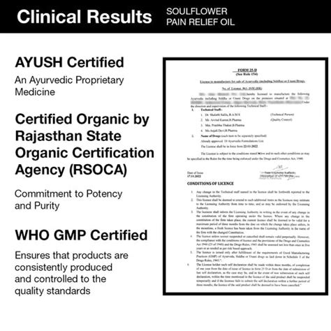 Buy Instant Neck & Back Pain Relief Oil at Best Price – Soulflower.in