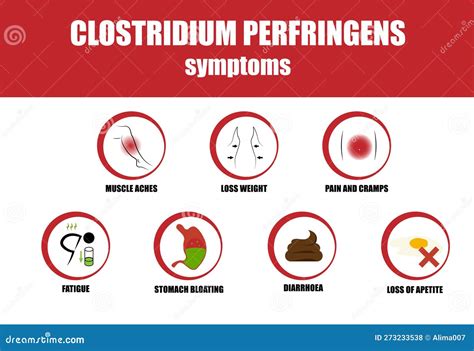 Clostridium Perfringens, Symptoms of Illness, Icon of Symptoms Stock Vector - Illustration of ...