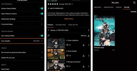 Download Python Video Offline 的图像结果