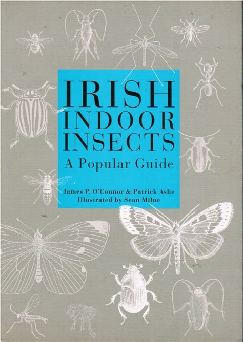 Buy Irish Indoor Insects: A Popular Guide Book Online at Low Prices in ...