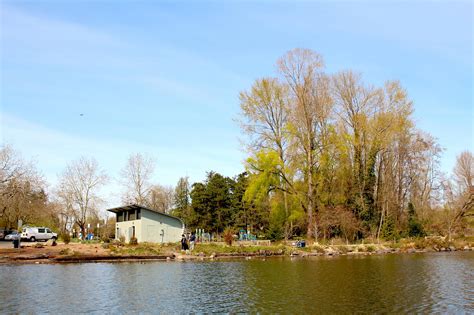 Be’er Sheva Park Remains an Unknown in Seattle Parks’ Budget | by Jack ...