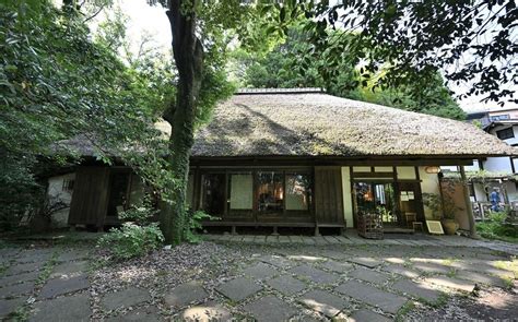 Image result for Princess Bride Forest Swamp HQ