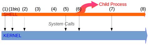 Parent Processes Example 的图像结果