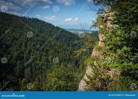 Image result for JavaScript Array Each Loop