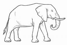 ausmalbilder elefant ausdrucken ausmalbilder elefanten kostenlos malvorlagen zum ausmalbilder elefant ausdrucken ausmalbilder elefanten kostenlos malvorlagen zum