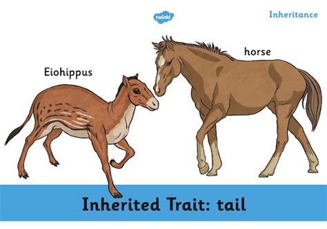 Extinct Animals | Facts for Kids - Twinkl