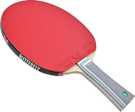Butterfly Viscaria Pro-Line Table Tennis Racket - India | Ubuy