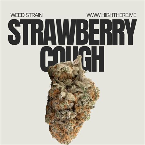 Strawberry Cough Strain | Best Weed Strain For You?