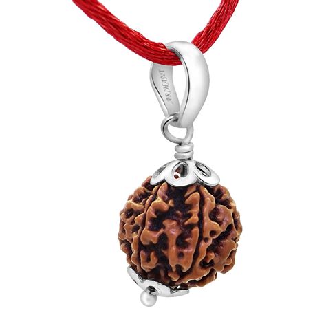 Arihant Gems & Jewels® 6 Mukhi 6 Faced Nepali Rudraksha with 925 Silver ...