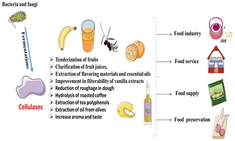 Cellulases: From Bioactivity to a Variety of Industrial Applications