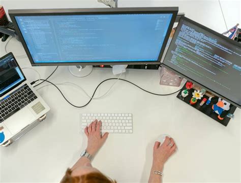 Image result for Software Developer Description