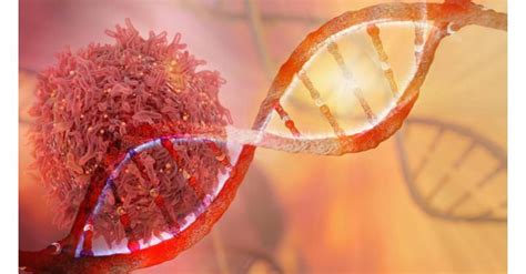 Image result for Spring Agular