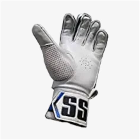 SS Platino Cricket Batting Gloves – Romjee Sports Llp