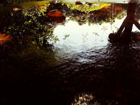 Image result for Spring Pond Reflection