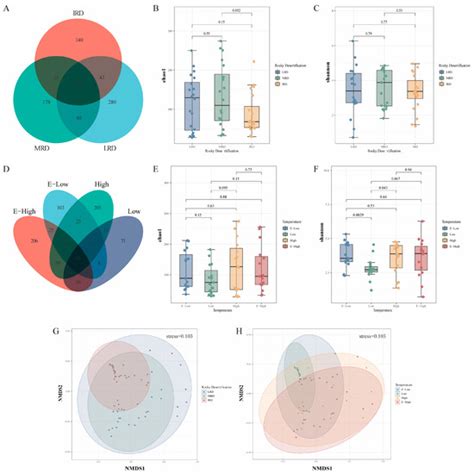Analysis of Bacterial and Metabolic Diversity of Pickles in Different ...