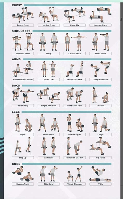 Basic Physical Exercises 的图像结果
