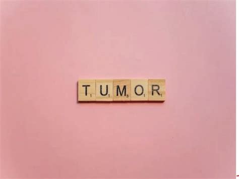 Researchers discover new technologies that give depth understanding of ...