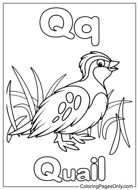 Letter Q Colouring Pages
