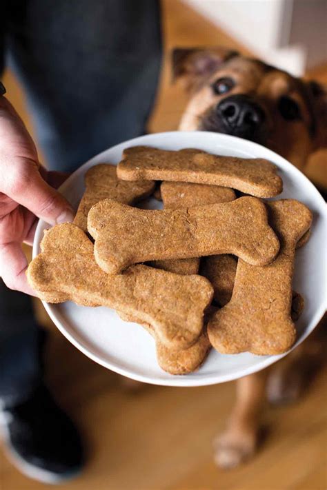 Homemade Dog Treats Recipe | Leite