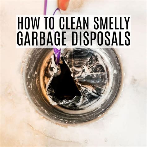 How To Clean A Smelly Garbage Disposal - Frugally Blonde