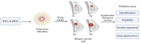Poly(caprolactone)-b-poly(ethylene glycol)-Based Polymeric Micelles as ...