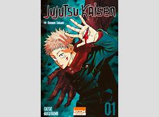 Jujutsu Kaisen le manga arrive en France et en anime   le  