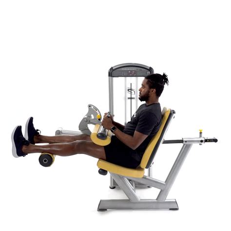 Exercises - Trainwell