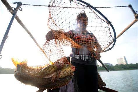 海南渔业迎来捕鱼季 大批海鲜转销各地--图片频道--人民网