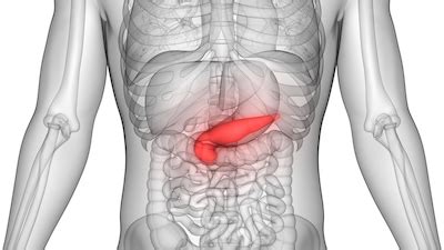 Why Is Pancreatic Cancer So Deadly? | University of Utah Health