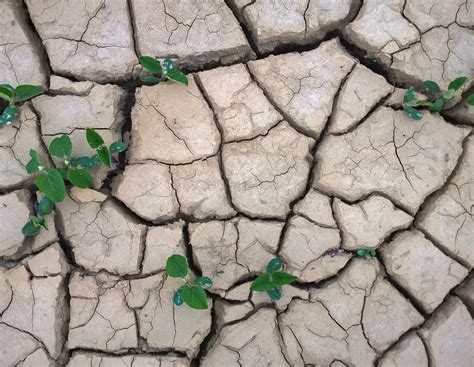 Dürre in Europa: Wo die Ernte vertrocknet und Trinkwasser knapp wird ...