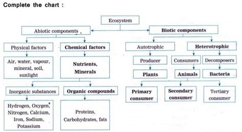 complete the chart...[in attachment]...don't spam... - Brainly.in