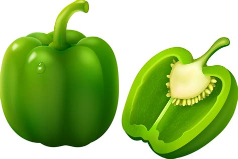Vector Green Bell Pepper, Fresh, Produce, Healthy, Nutrition PNG