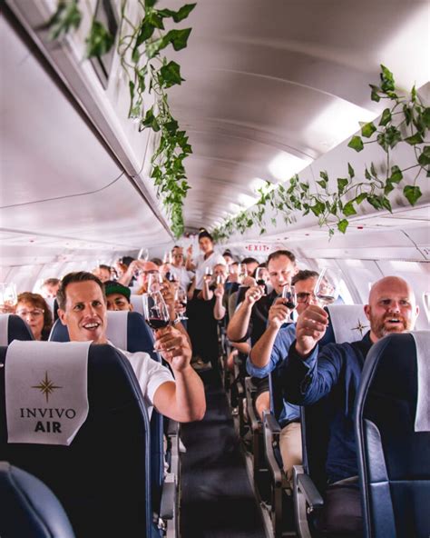 Guide: Taking Wine On A Plane , Can I bring alcohol on a plane? – OZIZG