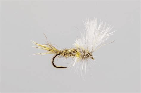 Image result for PMD Fly Pattern