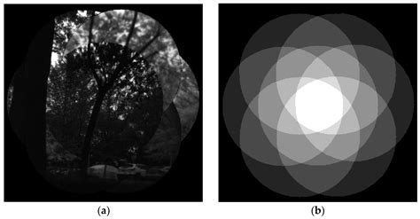 Advanced Biomimetic Multispectral Curved Compound Eye Camera for Aerial ...