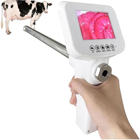 Lwjunmm Artificial Insemination AI Gun,Artificial India | Ubuy