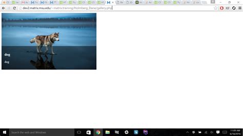 Image result for Moving Image by Key Arrows Code.html at Notepad