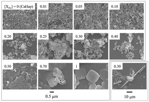 Preparation and Structure of Zinc–Calcium Hydroxyapatite Solid Solution ...
