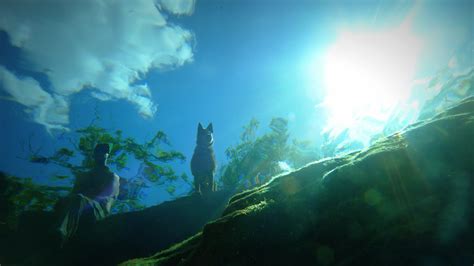 Plumbing The Depths Of Jacob’s Well | Texas Standard